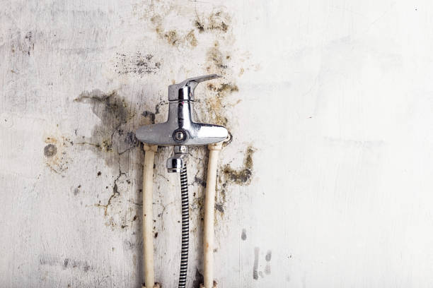 Mold Removal and Inspection in Kimberly, AL