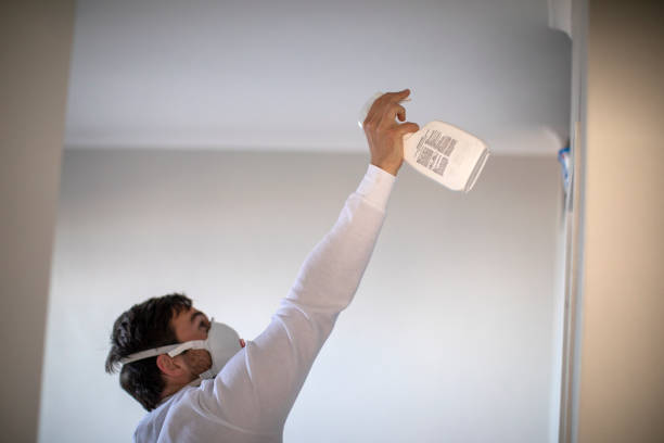 Best Residential Mold Removal  in Kimberly, AL