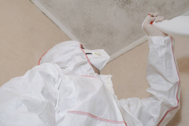 Best Mold Removal and Inspection  in Kimberly, AL