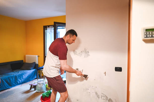 Professional Mold Removal in Kimberly, AL